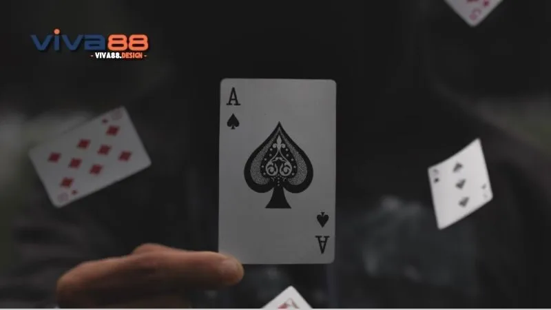 bai-xi-phe-nguon-goc