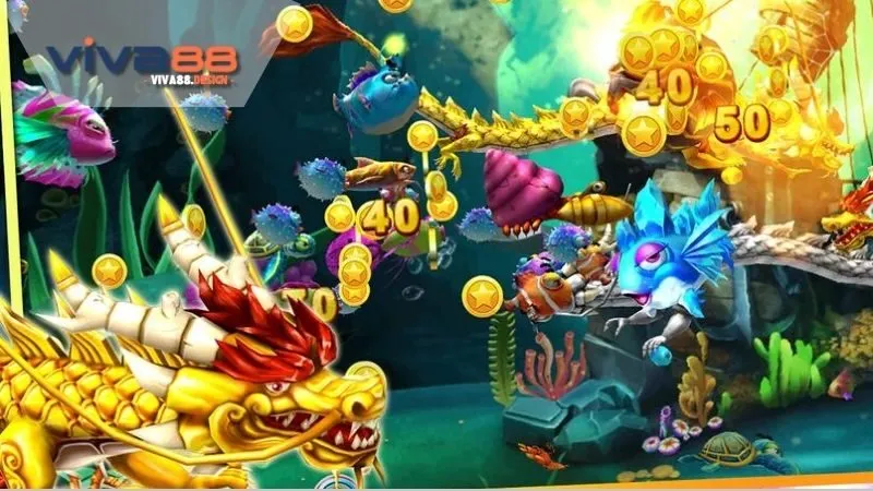 ban-ca-than-rong-dang-cap