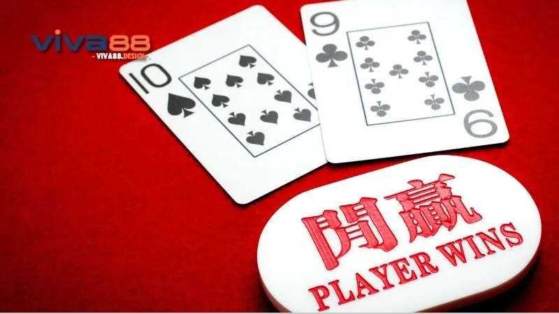 tai-sao-choi-baccarat-luon-thua-kinh-nghiem